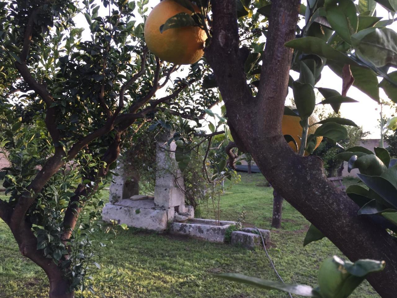 Agriturismo Arangea Lequile Buitenkant foto